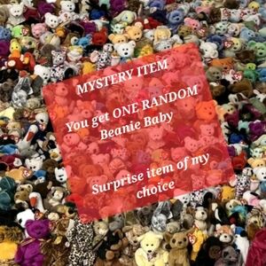 Mystery Toy Beanie Baby